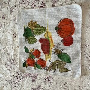 Vintage Cannon Harvest Fruit Pumpkin Washcloth White Cotton Terry Towel USA Made